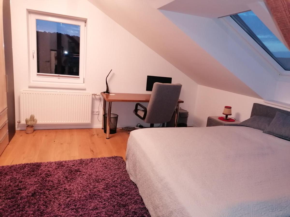 Haus Larissa Διαμέρισμα Gmund  Εξωτερικό φωτογραφία